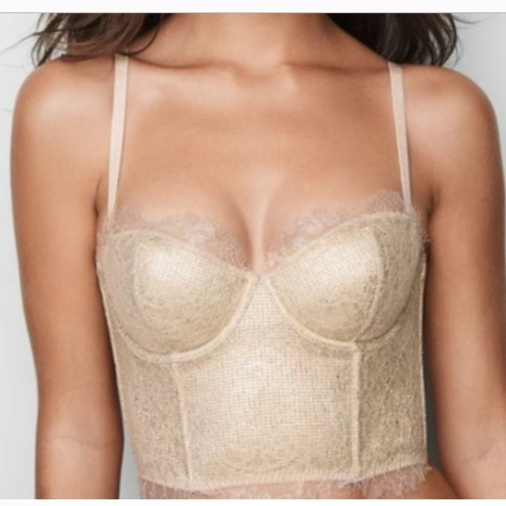 💕VICTORIA’S SECRET Dream Angels silver/gold corset bra top💕  NWOT